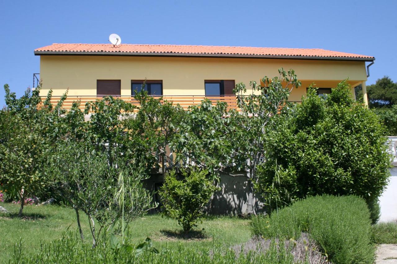 Apartments Suha Punta - Villa Babalonija 캄포르 객실 사진